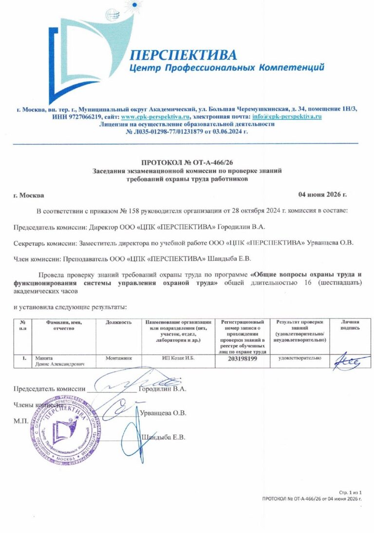 Д.А. Микита 3