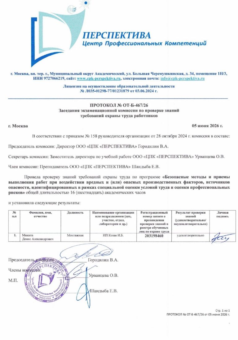 Д.А. Микита 4